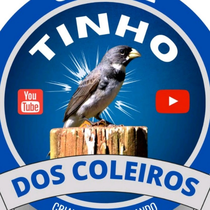 Tinho dos coleiro