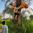 bumVvZCmjpQ-channel-avatar-Charming Pakistan