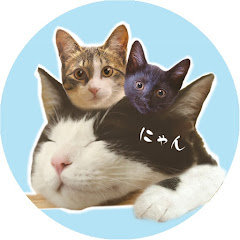 猫社員ぽんぽこりん