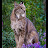@Astro-z7g Avatar