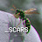 @_scars