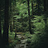 CjlTGlEM8fM-channel-avatar-Path