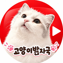 고양이발자국Catfootprint