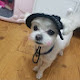 도로악녀