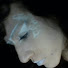 OeJ7F-lQ0Do-channel-avatar-Nora bonneux