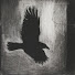 AtcCNqgPR0c-channel-avatar-crowbite
