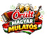 tLQuNzqyDqM-channel-avatar-Őrült Magyar Mulatós