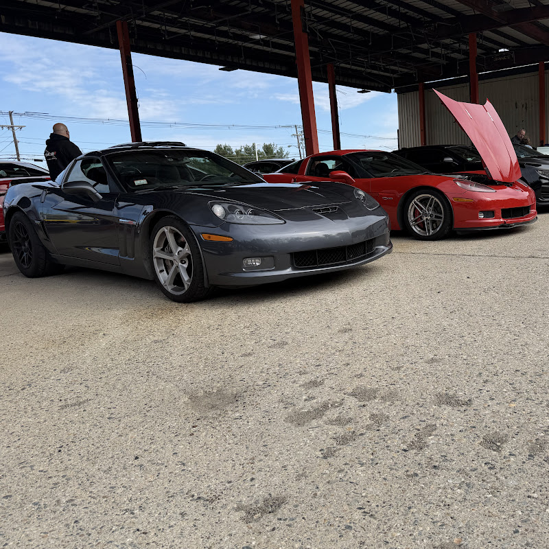 Z06.McQueen