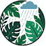 dAvEOLKXipw-channel-avatar-Forest Rain Relax