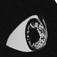 lodaluk profile image