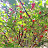 @행복할것-d8m