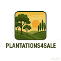 Plantations4Sale logo