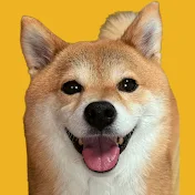 豆柴福チャンネル