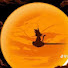 Vz6yDnxJBdY-channel-avatar-Ari