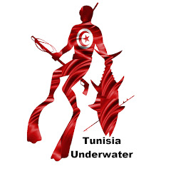 Tunisia Underwater