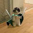 ffVIh6nNrvg-channel-avatar-weebshere11