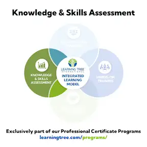 Learning Tree International YouTube channel