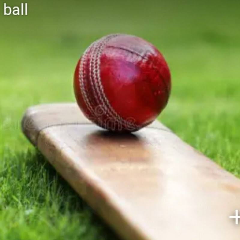 Hire trading comedy video  — Biographies & Historical Figures YouTube creator for sponsorships