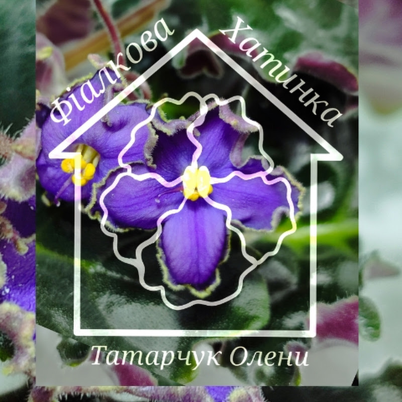 Фіалкова Хатинка Татарчук Олени