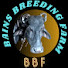 4jgQrFTKLQg-channel-avatar-Bains Breeding Farm