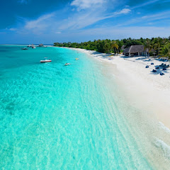 サスゴアイコン画像