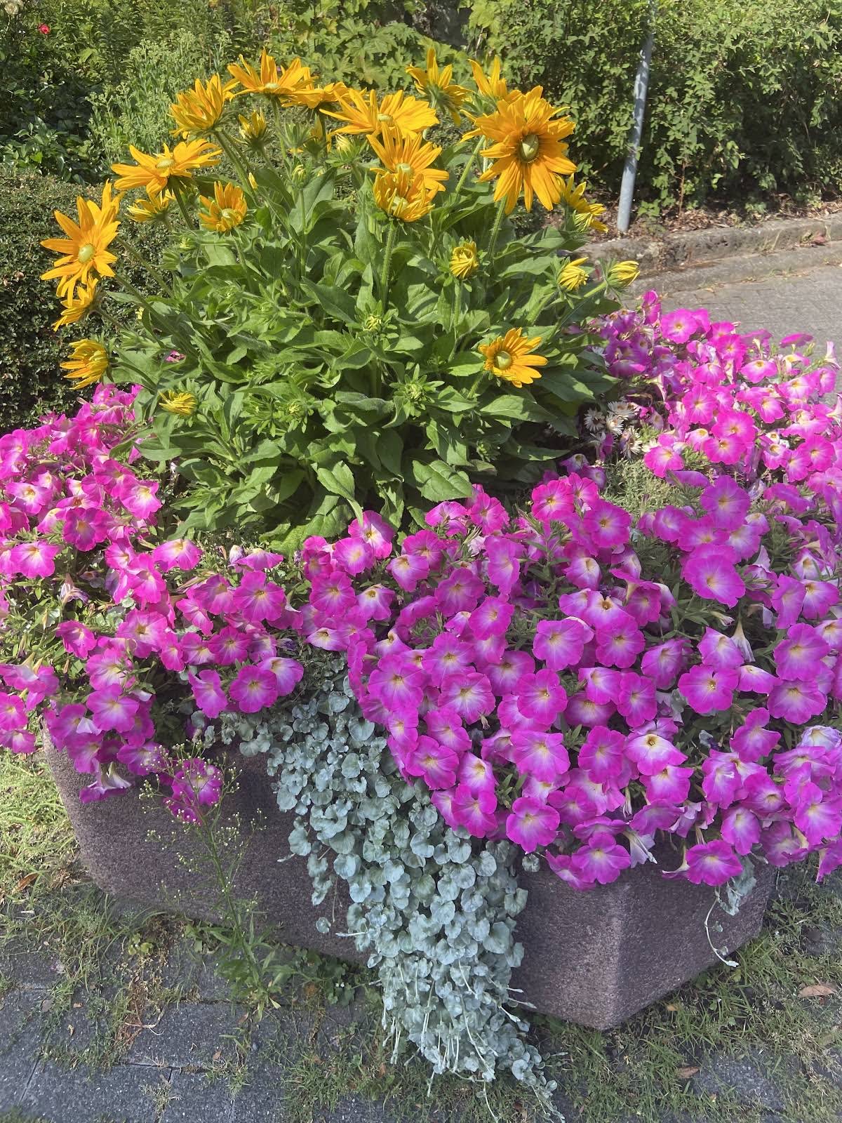 Post from Helen in Germany - YouTube