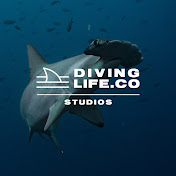 DivingLife Studios