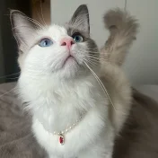 ノエルくんとはる