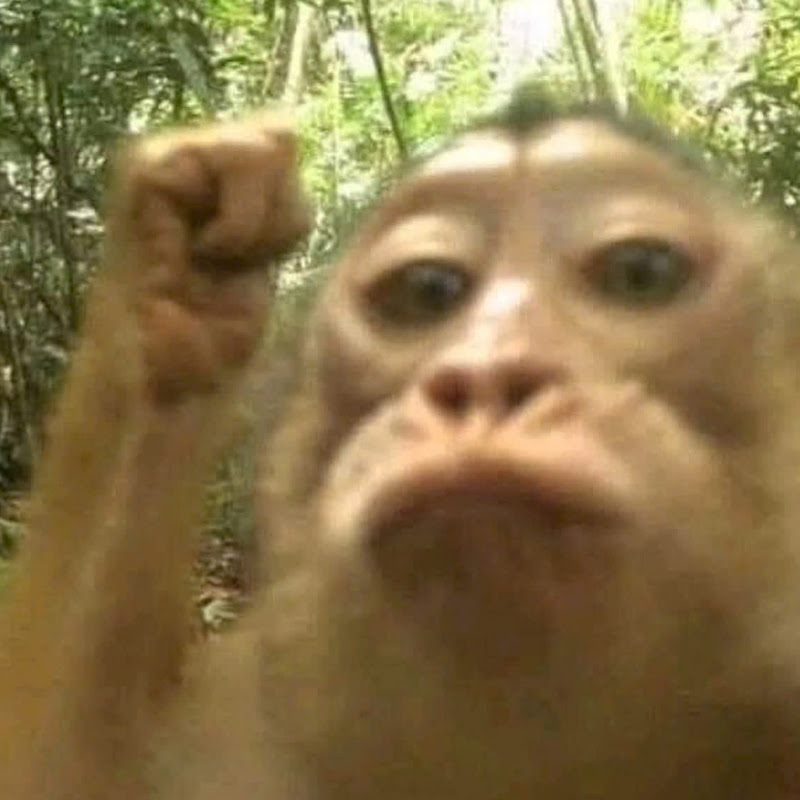 Hehe Compilations Logo