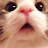 @user-wh6fu9oc7d
