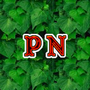 PN YOUTUBE CHANNEL