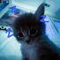 6FJSjBHK7wM-channel-avatar-Asterglaze 