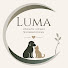 hWin1hVAqmc-channel-avatar-LUMA -Lifeline  and MXcomic