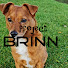 GCfZABCOW4k-channel-avatar-Project Brinn