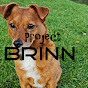 Project Brinn logo