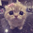 @روانطارق-خ6ب