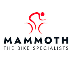 Mammoth Bikes net worth