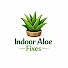 mB-QuzaoHls-channel-avatar-Indoor Aloe Fixes
