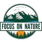 Focus On The Nature