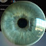 AZkjFXQnPdg-channel-avatar-Ryan Robinson and Donked