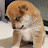 @부처0408