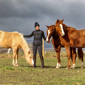 UCo6PNT6u9OvZqKSCAxDAjRA YouTube channel image