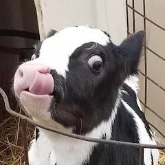 Farm Factory avatar
