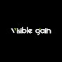 Visible Gain logo