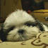 YocaXAKbwQ4-channel-avatar-Cchannel's channel