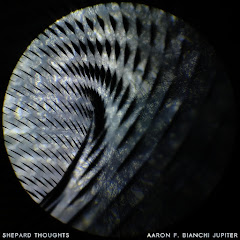 Aaron F. Bianchi Jupiter - Topic