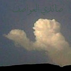 Storms Hunters Avatar