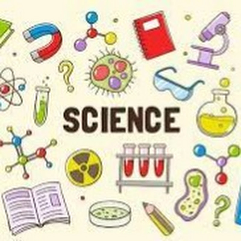 Science Teacher (Dulmini Maduwanthi)