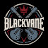 ZYik9-zPB-w-channel-avatar-Blackvane