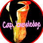 Cap. knowledge